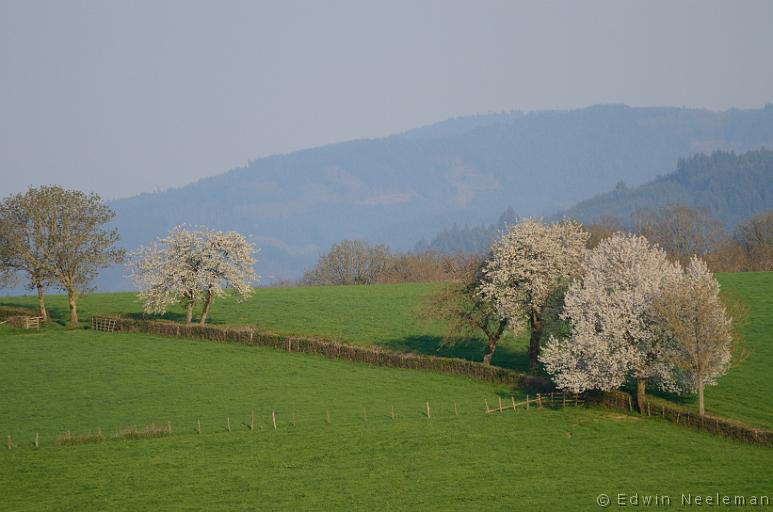 ENE-20130424-0076.jpg - Vareilles (Saône-et-Loire)